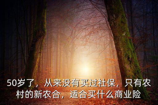50歲了，從來沒有買過社保，只有農村的新農合，適合買什么商業(yè)險