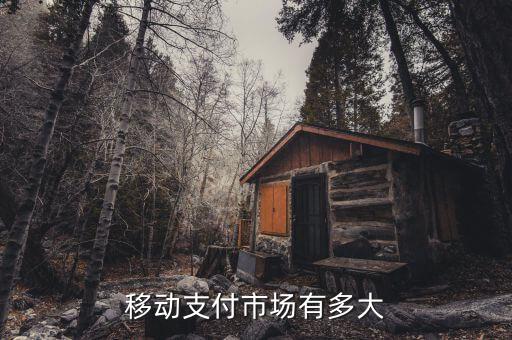 中國手機(jī)移動(dòng)支付已達(dá)多少金額,移動(dòng)支付中國領(lǐng)先世界嗎