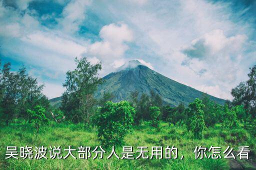 吳曉波說大部分人是無用的，你怎么看