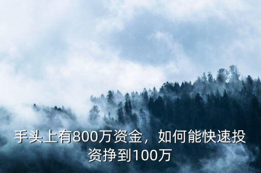 手頭上有800萬資金，如何能快速投資掙到100萬