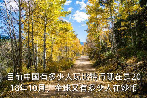 目前中國有多少人玩比特幣現(xiàn)在是2018年10月，全球又有多少人在炒幣