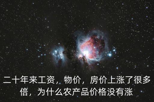 二十年來工資，物價(jià)，房價(jià)上漲了很多倍，為什么農(nóng)產(chǎn)品價(jià)格沒有漲