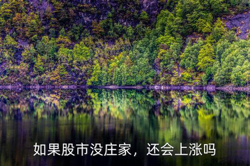 如果股市沒(méi)莊家，還會(huì)上漲嗎