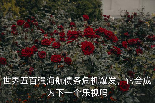 世界五百強海航債務危機爆發(fā)，它會成為下一個樂視嗎