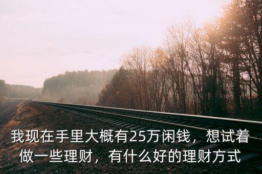 我現(xiàn)在手里大概有25萬(wàn)閑錢(qián)，想試著做一些理財(cái)，有什么好的理財(cái)方式