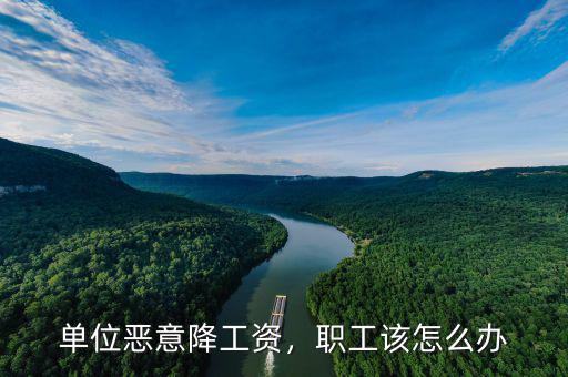 單位惡意降工資，職工該怎么辦