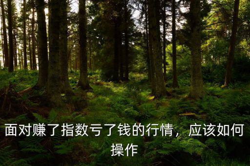 面對賺了指數(shù)虧了錢的行情，應(yīng)該如何操作