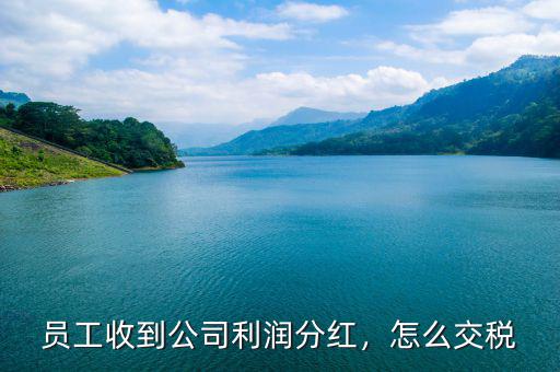 員工收到公司利潤(rùn)分紅，怎么交稅