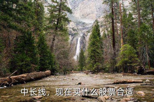 中長線，現(xiàn)在買什么股票合適