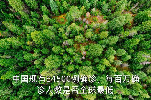 中國(guó)現(xiàn)有84500例確診，每百萬(wàn)確診人數(shù)是否全球最低