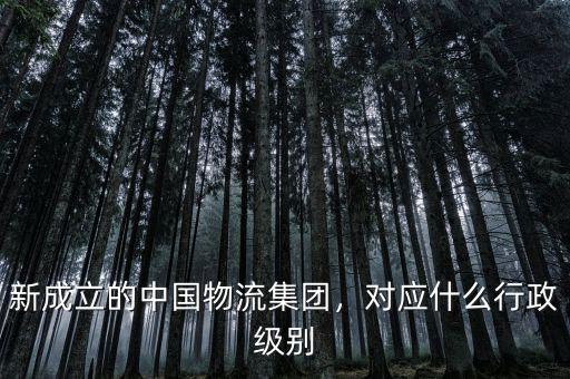 新成立的中國物流集團，對應什么行政級別