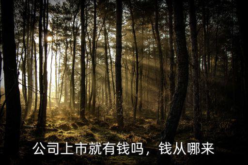 公司上市就有錢嗎，錢從哪來