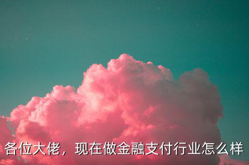 各位大佬，現(xiàn)在做金融支付行業(yè)怎么樣