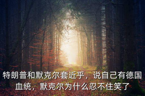 特朗普和默克爾套近乎，說自己有德國血統(tǒng)，默克爾為什么忍不住笑了