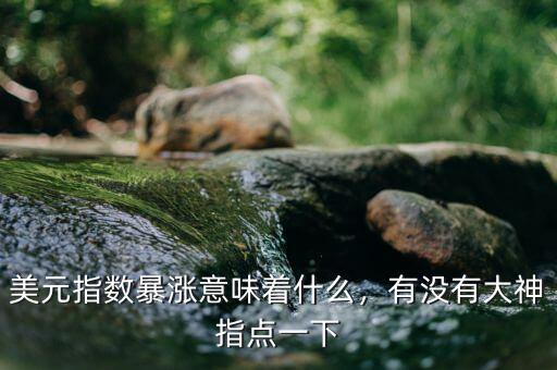 美元指數(shù)暴漲意味著什么，有沒有大神指點(diǎn)一下