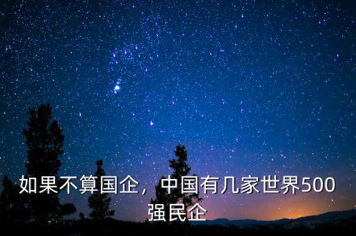 如果不算國企，中國有幾家世界500強(qiáng)民企