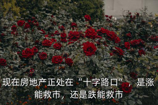 現(xiàn)在房地產(chǎn)正處在“十字路口”，是漲能救市，還是跌能救市
