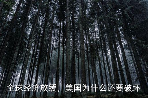 全球經(jīng)濟放緩，美國為什么還要破壞
