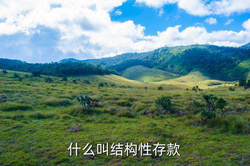 什么是結(jié)構(gòu)性負債,結(jié)構(gòu)性存款到底是怎么回事