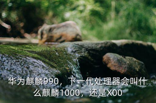 華為麒麟990，下一代處理器會(huì)叫什么麒麟1000，還是X00