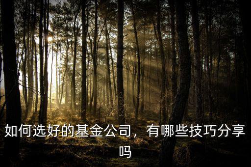 如何選好的基金公司，有哪些技巧分享嗎
