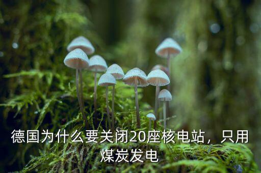德國為什么要關(guān)閉20座核電站，只用煤炭發(fā)電