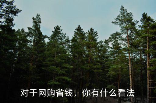 對(duì)于網(wǎng)購(gòu)省錢，你有什么看法