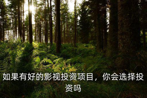 如果有好的影視投資項(xiàng)目，你會(huì)選擇投資嗎