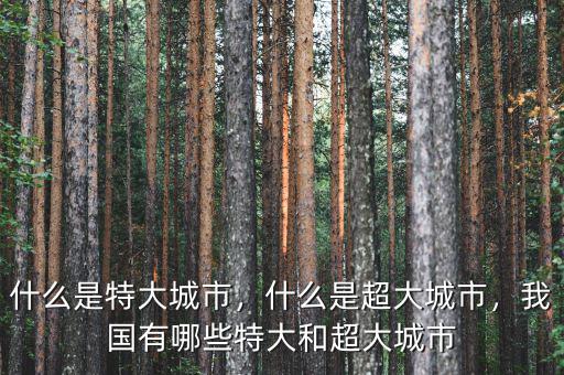 什么是特大城市，什么是超大城市，我國(guó)有哪些特大和超大城市