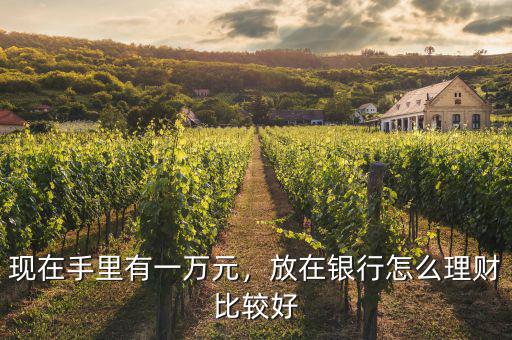 現(xiàn)在手里有一萬元，放在銀行怎么理財比較好