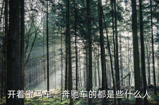 開著寶馬車、奔馳車的都是些什么人