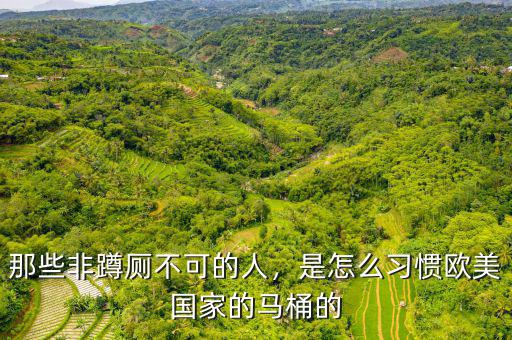 那些非蹲廁不可的人，是怎么習(xí)慣歐美國(guó)家的馬桶的