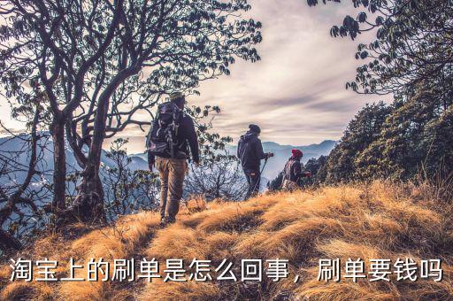淘寶上的刷單是怎么回事，刷單要錢(qián)嗎