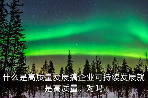 什么是高質(zhì)量發(fā)展搞企業(yè)可持續(xù)發(fā)展就是高質(zhì)量，對(duì)嗎