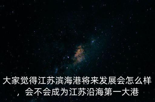大家覺(jué)得江蘇濱海港將來(lái)發(fā)展會(huì)怎么樣，會(huì)不會(huì)成為江蘇沿海第一大港