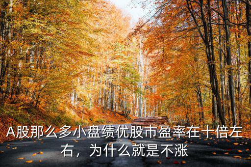 A股那么多小盤績(jī)優(yōu)股市盈率在十倍左右，為什么就是不漲