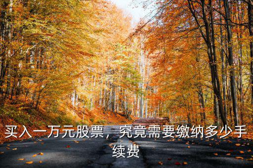 買(mǎi)入股票手續(xù)費(fèi)多少,買(mǎi)入一萬(wàn)元股票