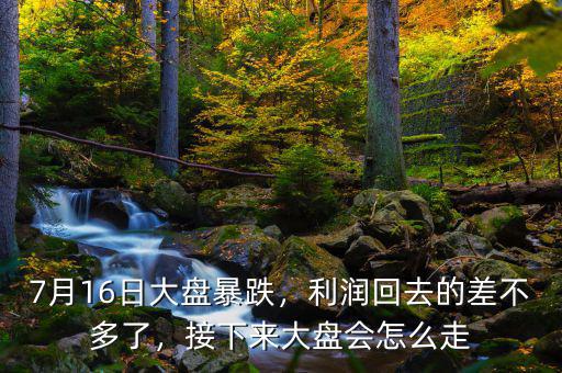 7月16日大盤暴跌，利潤回去的差不多了，接下來大盤會怎么走