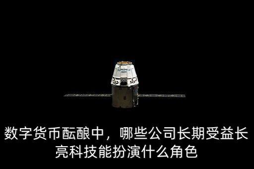 數(shù)字貨幣醞釀中，哪些公司長期受益長亮科技能扮演什么角色