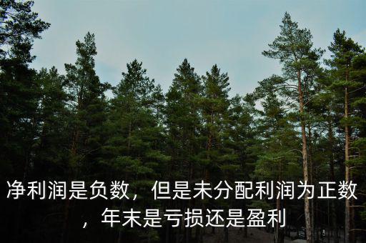 凈利潤是負數(shù)，但是未分配利潤為正數(shù)，年末是虧損還是盈利