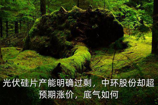 光伏硅片產(chǎn)能明確過剩，中環(huán)股份卻超預(yù)期漲價，底氣如何