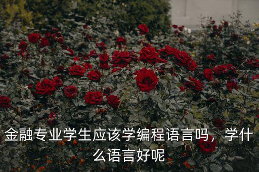 金融專業(yè)學(xué)生應(yīng)該學(xué)編程語(yǔ)言嗎，學(xué)什么語(yǔ)言好呢
