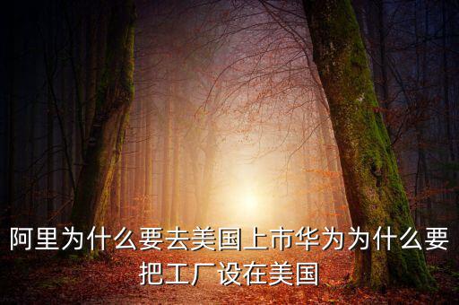 阿里為什么要去美國(guó)上市華為為什么要把工廠設(shè)在美國(guó)