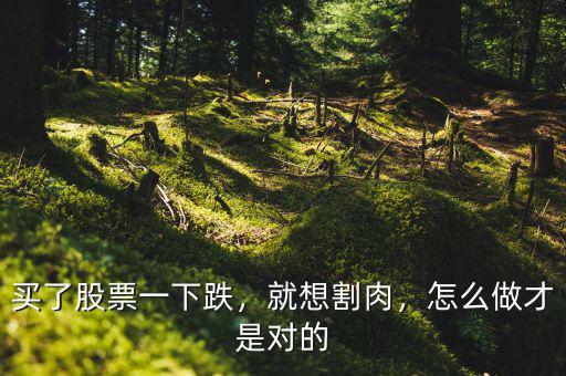 買了股票一下跌，就想割肉，怎么做才是對的