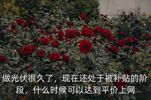 做光伏很久了，現(xiàn)在還處于被補(bǔ)貼的階段，什么時(shí)候可以達(dá)到平價(jià)上網(wǎng)