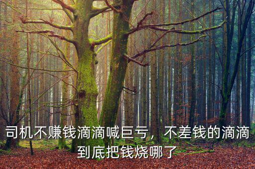 司機不賺錢滴滴喊巨虧，不差錢的滴滴到底把錢燒哪了
