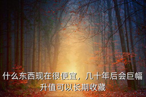 什么東西現(xiàn)在很便宜，幾十年后會(huì)巨幅升值可以長期收藏