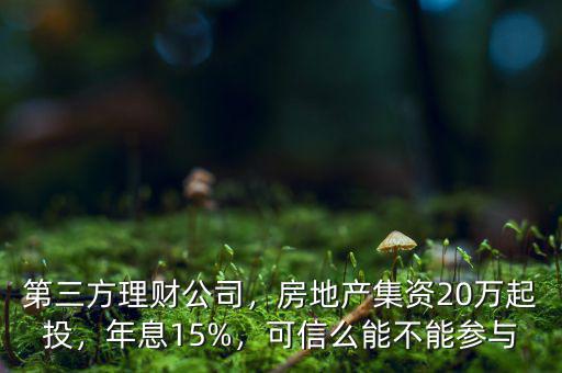 第三方理財公司，房地產(chǎn)集資20萬起投，年息15%，可信么能不能參與