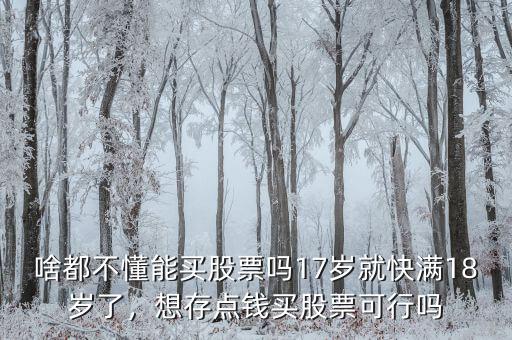 啥都不懂能買股票嗎17歲就快滿18歲了，想存點錢買股票可行嗎