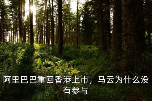 阿里巴巴重回香港上市，馬云為什么沒(méi)有參與